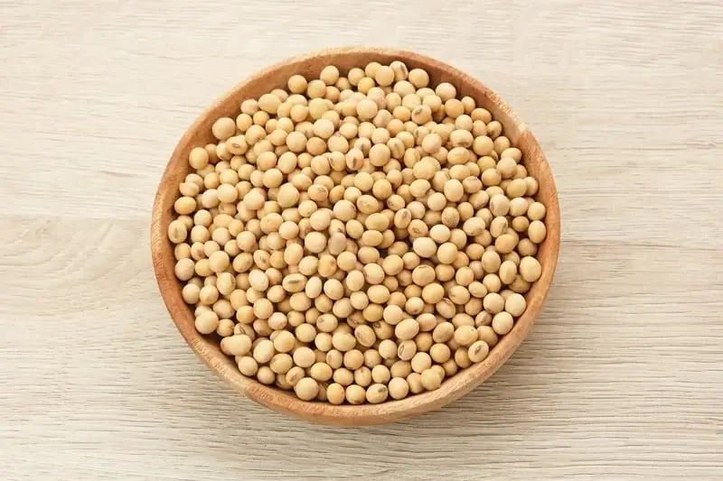 What Are Soybean Futures and Why Do They Matter?